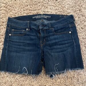 American Eagle Denim Shorts